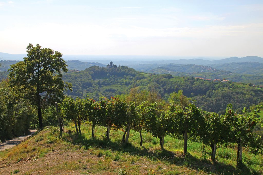 03_Goriška_Brda_Nea Culpa d.o.o..JPG