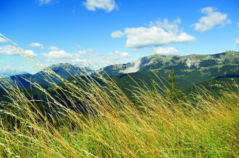 Tržič_gore_Samo Paušer.JPG